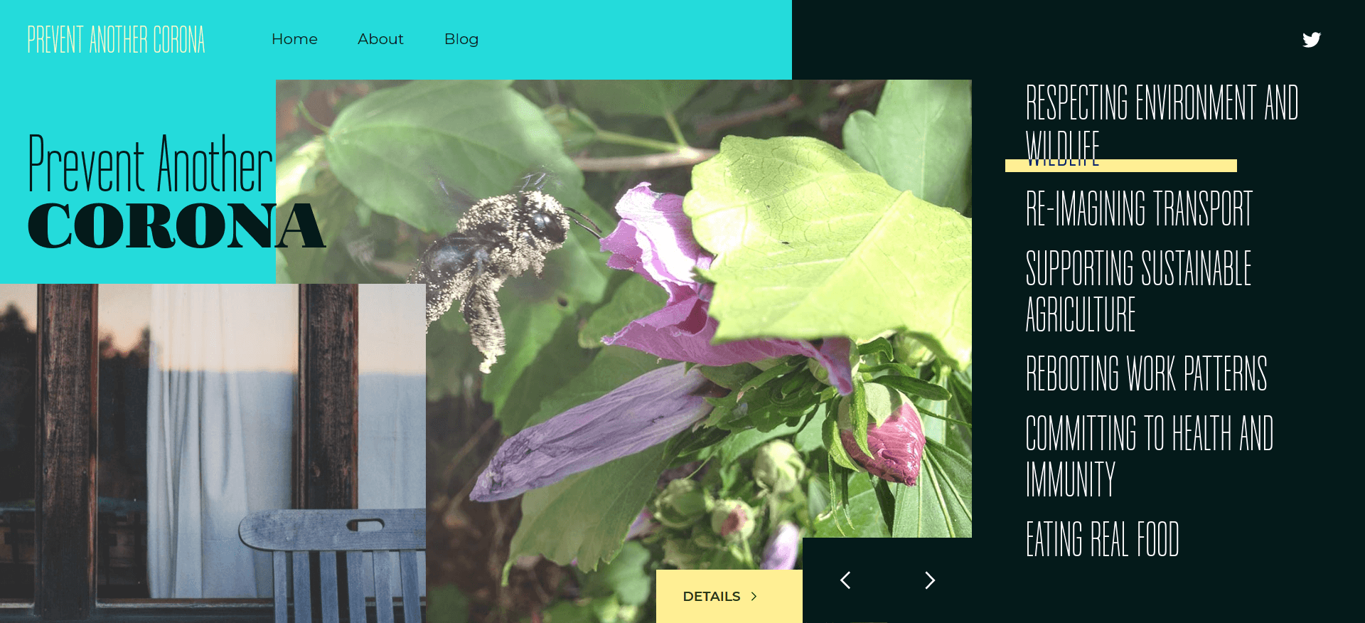 Homepage image of portfolio item